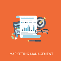 Marketing Management Marketing Management